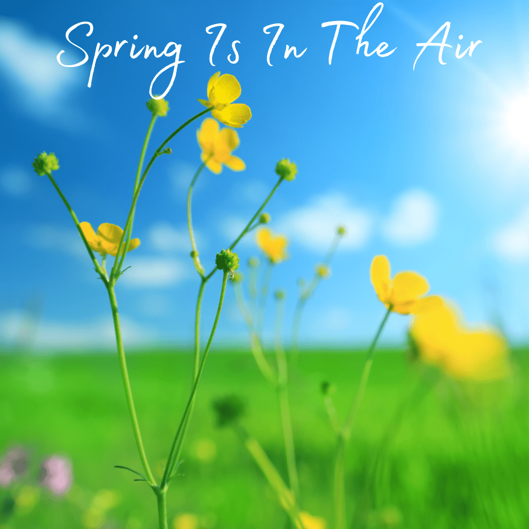 🌼  Spring Resin-Spiration 🌼